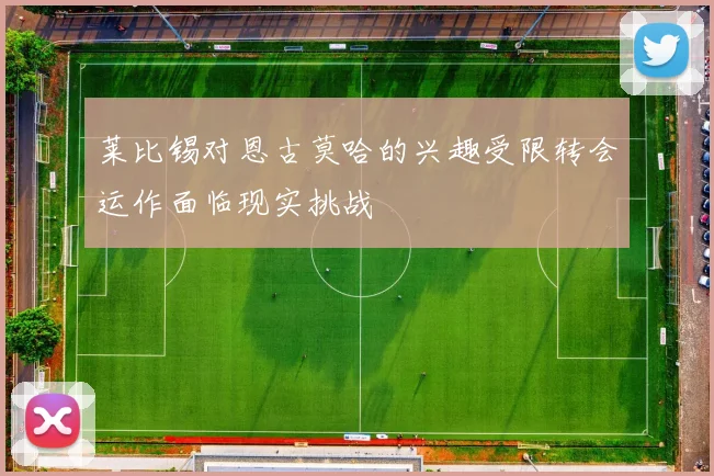 莱比锡对恩古莫哈的兴趣受限转会运作面临现实挑战
