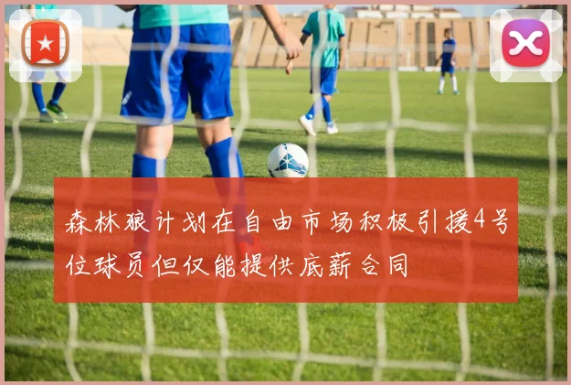 森林狼计划在自由市场积极引援4号位球员但仅能提供底薪合同