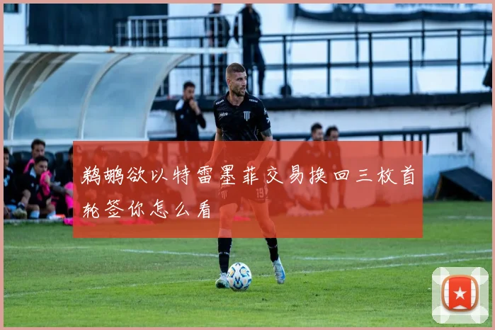 鹈鹕欲以特雷墨菲交易换回三枚首轮签你怎么看